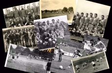 collage.jpg